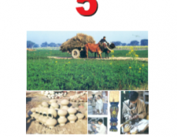 5th Class Social Studies (Urdu Medium) Textbook by PCTB in PDF Format